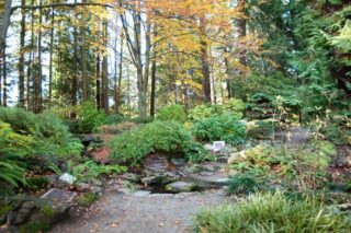 Air Force Garden of Remembrance in Stanley Park