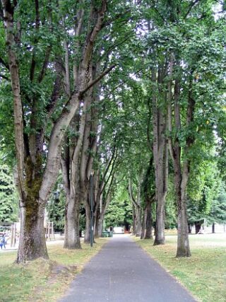 Memorial West Park