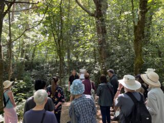 vancouver walking tours